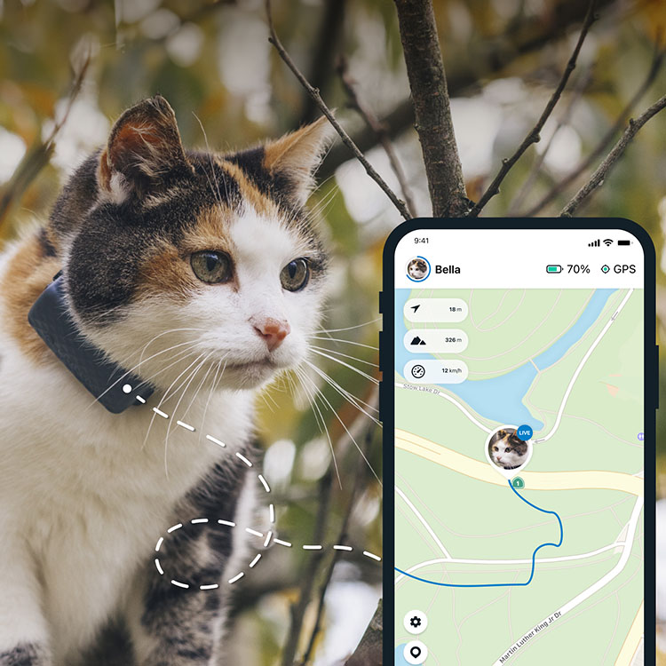 GPS til kat, Tractive