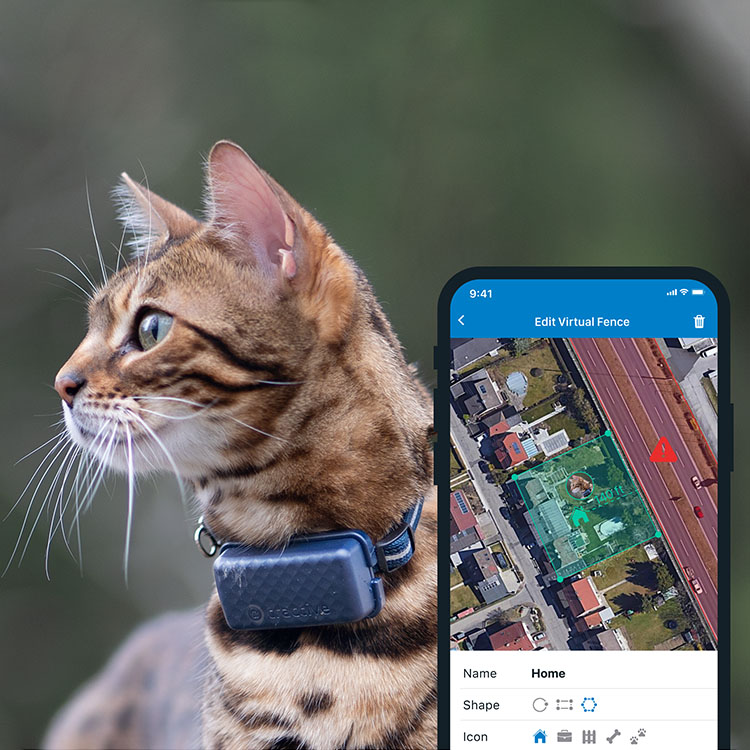GPS til kat, Tractive