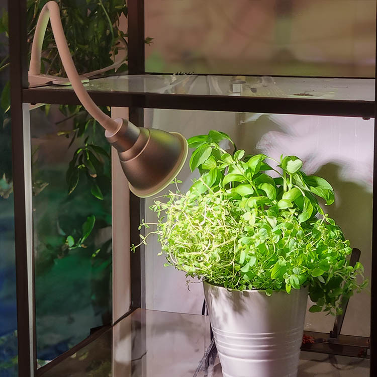 Plantelys med klemme 12W