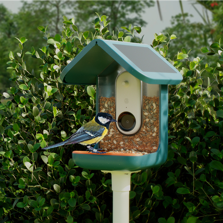 Fuglefoderautomat med kamera, Birdbuddy