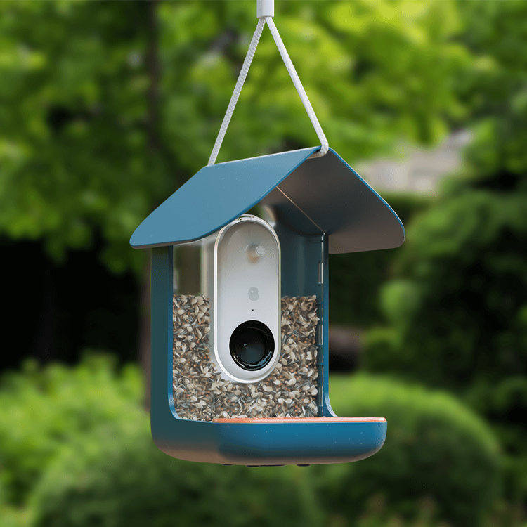 Fuglefoderautomat med kamera, Birdbuddy