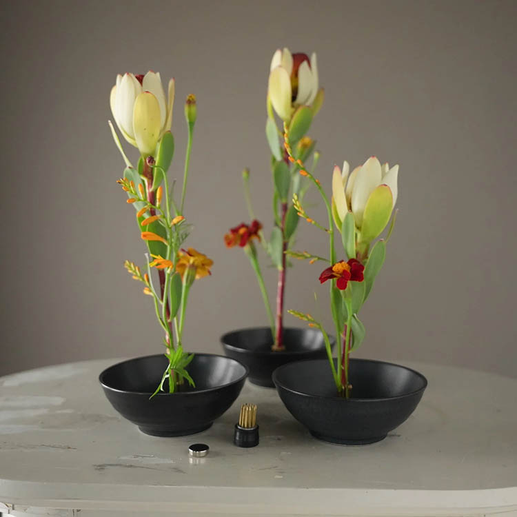 Magnetiske mini-blomsterfakirer 3-pak